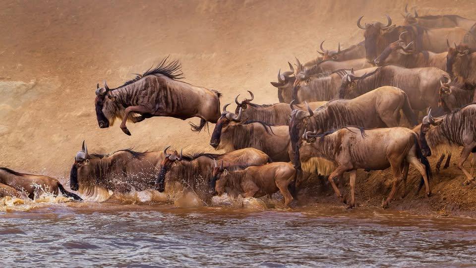 Serengeti National Park