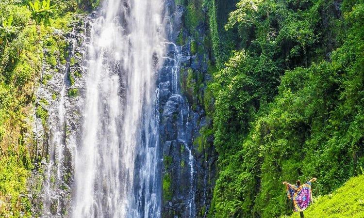 Lush green forest on the slopes of Kilimanjaro — Materuni waterfall trek Tanzania